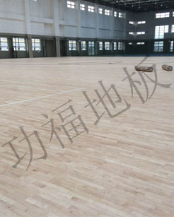 篮球场馆