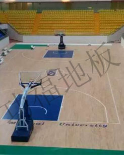 渭南市蓝羽汇篮球训练学